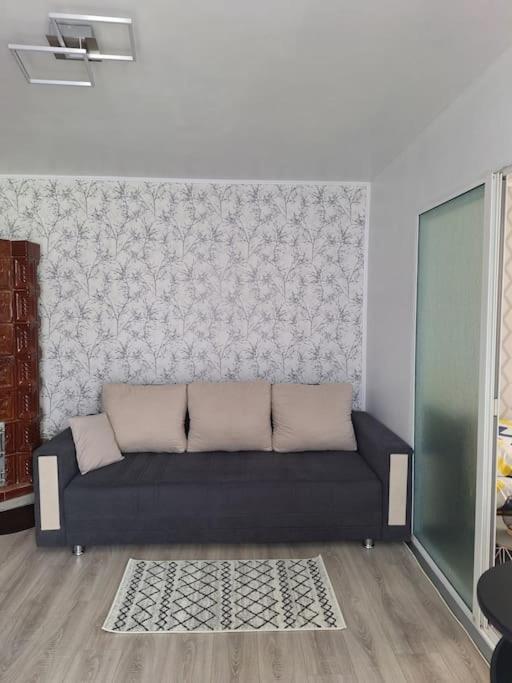 Miha'S Apartament 苏利纳 外观 照片